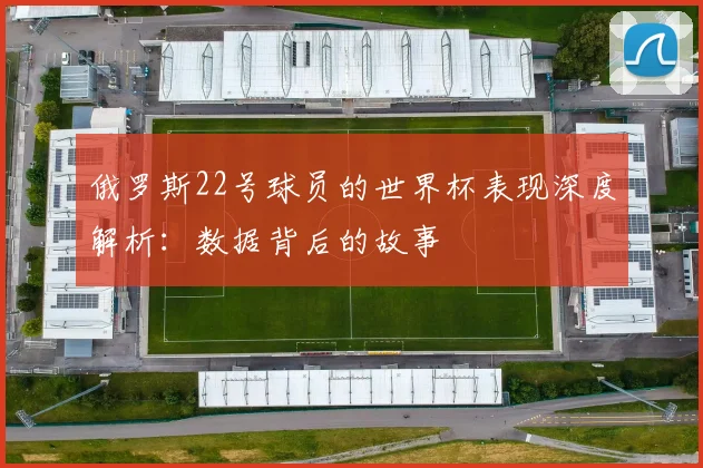 俄罗斯22号球员的世界杯表现深度解析：数据背后的故事