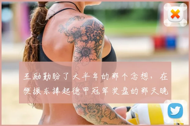王励勤盼了大半年的那个念想，在樊振东捧起德甲冠军奖盘的那天晚上，又碎了_中国乒协_萨尔布吕肯_欧冠决赛