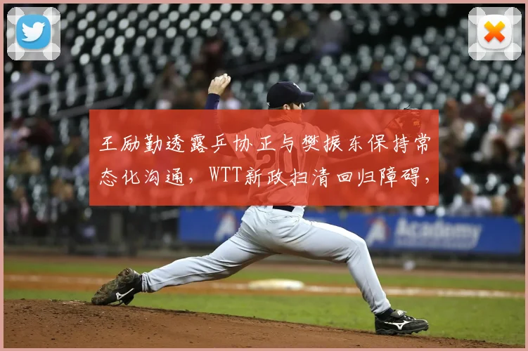 王励勤透露乒协正与樊振东保持常态化沟通,WTT新政扫清回归障碍,双向奔赴仍待最终落定