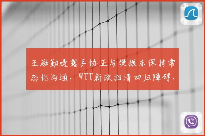 王励勤透露乒协正与樊振东保持常态化沟通，WTT新政扫清回归障碍，双向奔赴仍待最终落定