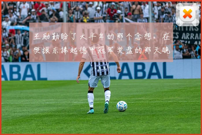 王励勤盼了大半年的那个念想,在樊振东捧起德甲冠军奖盘的那天晚上,又碎了_中国乒协_萨尔布吕肯_欧冠决赛