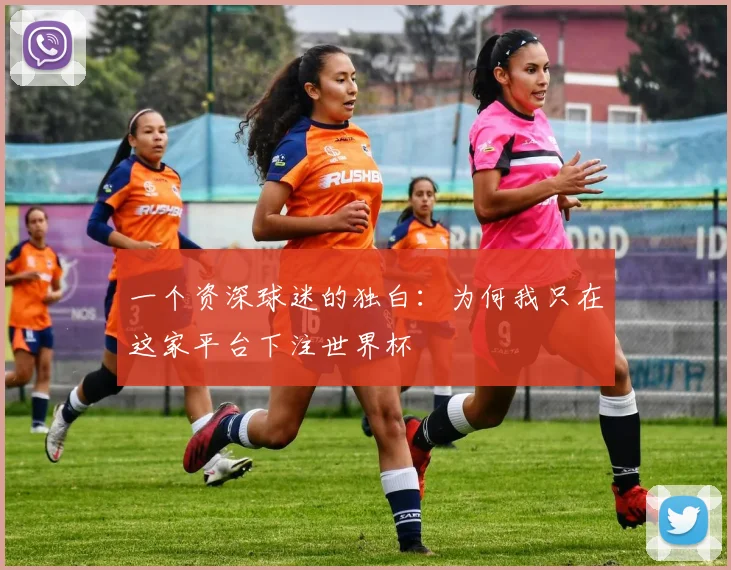 一个资深球迷的独白:为何我只在这家平台下注世界杯