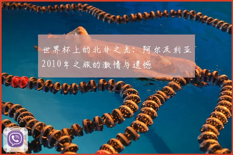 世界杯上的北非之光：阿尔及利亚2010年之旅的激情与遗憾